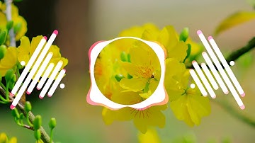 Tết Đến Rồi - Jombie ft LeeYang, Dế Choắt & Endless