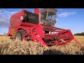 Уборка озимой пшеницы 60ц/га мини комбайн Massey ferguson 430