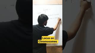 Locus position Of Gene On Chromosome