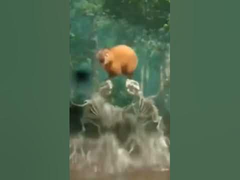 ok I pull up meme - YouTube