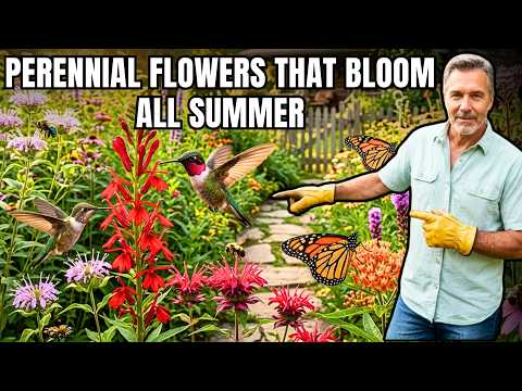9 Best LONGEST BLOOMING Perennial Flowers 🌼 Rare Perennials for Nonstop Color All Summer