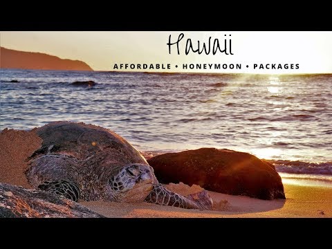 Featured image of post Flight Packages To Hawaii