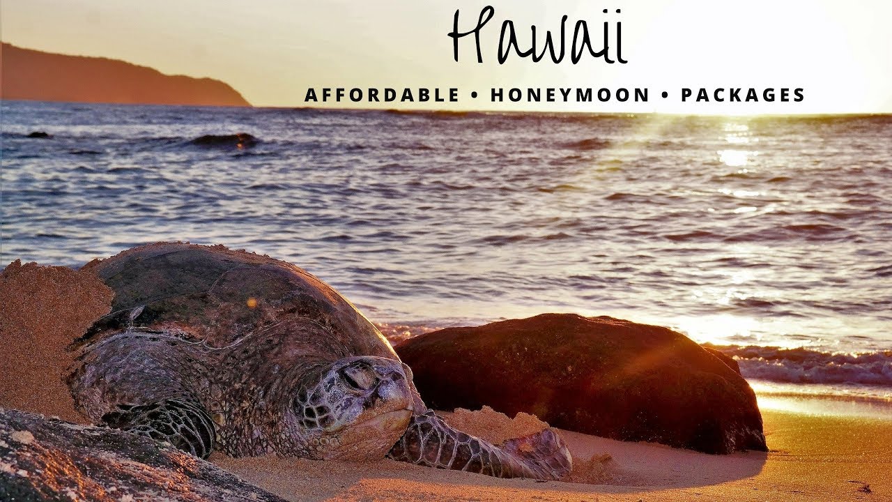 Cheap Hawaii Honeymoon Packages YouTube