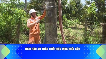 Đảm bảo an toàn lưới điện mùa mưa bão