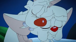 Animaniacs S3// Pinky and Brain Holding Hands ♡