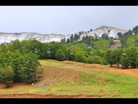 Χιονοδρομικό Κέντρο Βασιλίτσας
