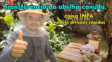 Como pegar Abelha canudo?