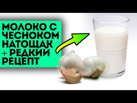 Ведь не дураки же?! Все старые врачи пьют молоко с чесноком + рецепты