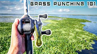 Punching Matted GRASS For BASS 101 (ONLY Video You Need) screenshot 5
