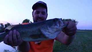 Largemouth Bass Catch and Cook