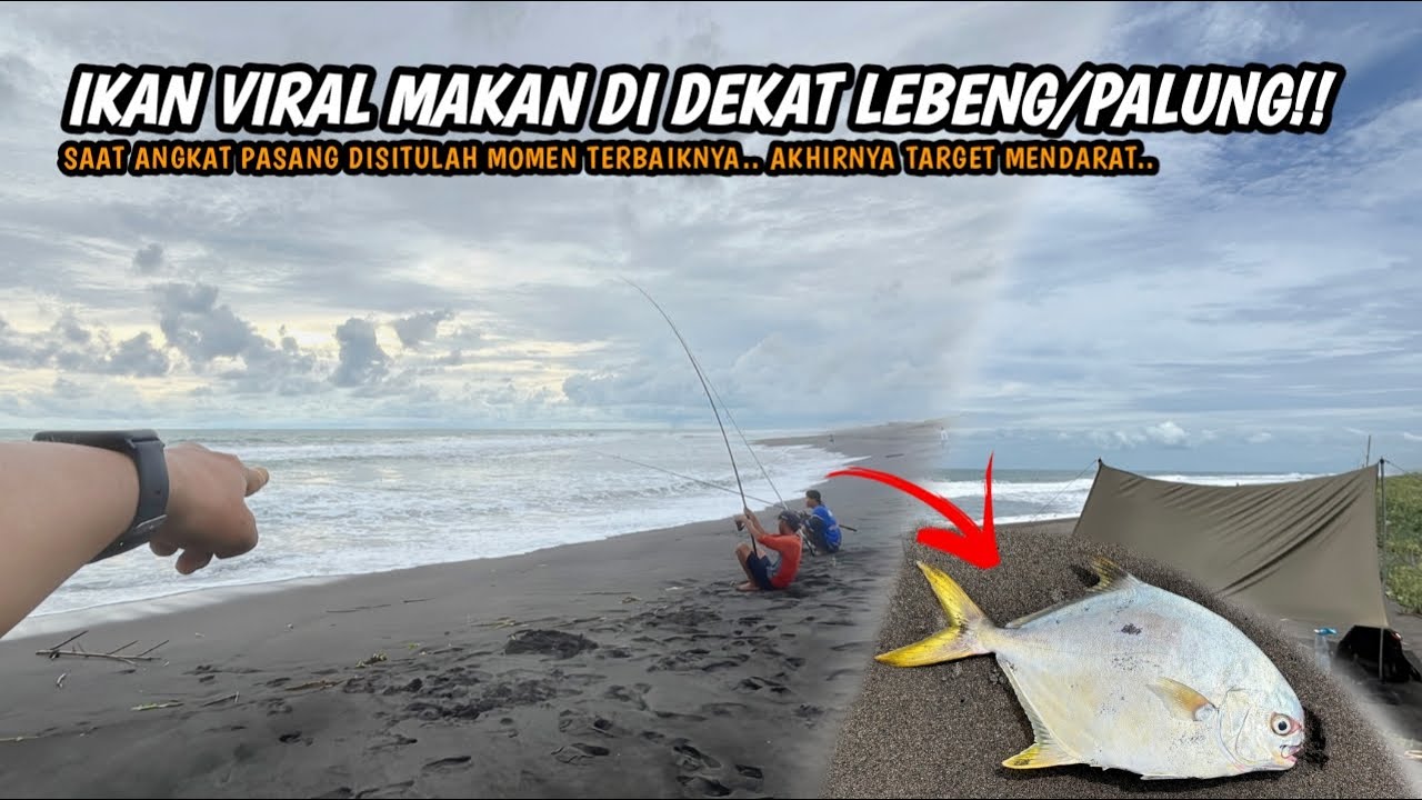 MOMEN TERBAIK UNTUK TARGET IKAN VIRAL POMPANO!! Mancing pasiran di pantai selatan umpan undur gembur