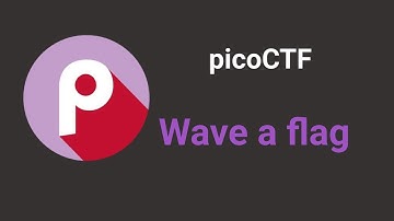 Walkthrough Wave a flag  (picoCTF)/Прохождение Wave a flag