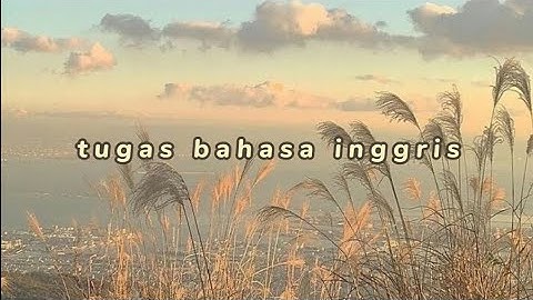 english task ( video of ppt procedure text)