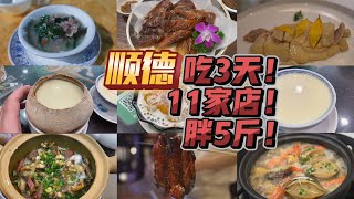 3天胖5斤！吃遍顺德11家店！ 烧鹅煲仔饭鲜粥火锅鱼虾鲍鱼猪杂双皮奶.....顺德果然是美食者的天堂！