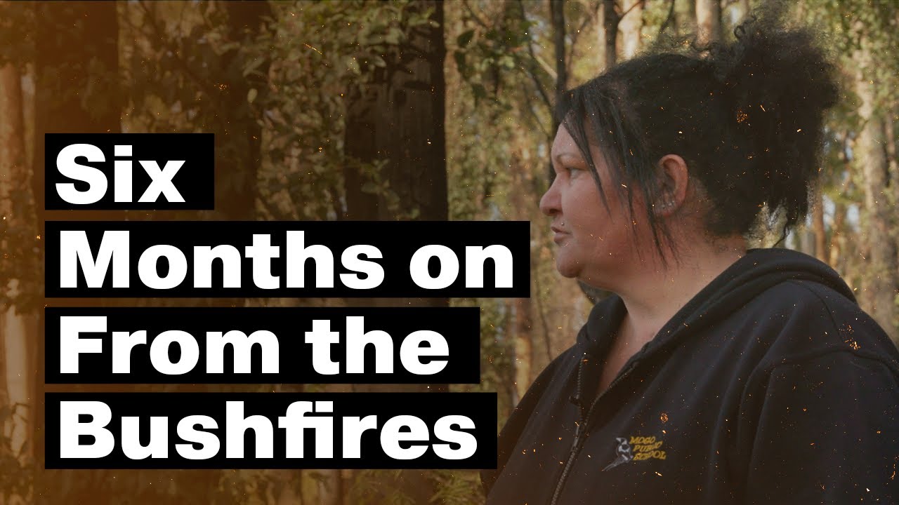 Amongst the embers: Six months on from the bushfires