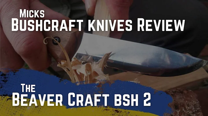 Bushcraft knives why the Beavercraft BSH 2 is my new go to knife