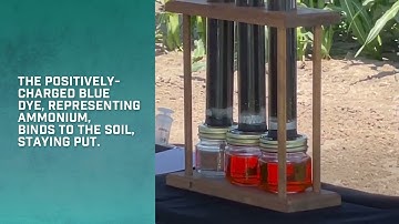 Nitrogen Leaching Demonstration