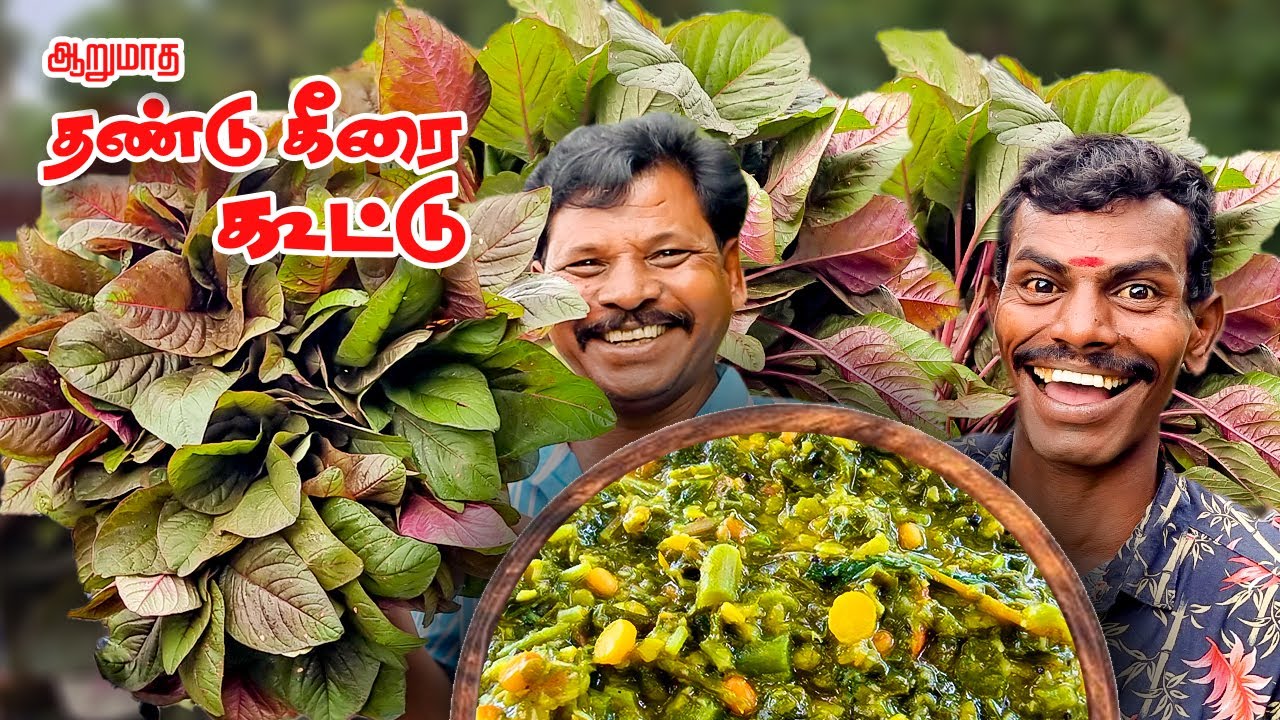ஐயர் வீட்டு ஆறு மாத தண்டு கீரை பருப்பு கூட்டு - Six month stem spinach - Iyer home lentil joint