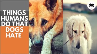 Things Dogs Hate and Wish You'd Stop Doing 🐶