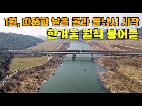 낚시는 타이밍 한파 후 기온 상승 3일 후