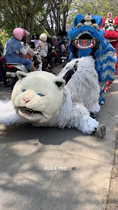 Can macanan ngesot dijalan