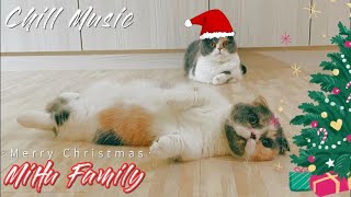 [Chillout with kittens] Merry Christmas ! ｜Chill Music, Background, Work, Sleep, Xmas by Mihu family Take a break 82 views 4 months ago 8 minutes, 57 seconds