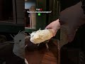 Wearing a thorny shell just to protect a soft heart#skeleton #taxidermy #oddities #fish #pufferfish