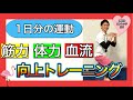 【60−70歳向け】約30分のしっかりトレーニングとクールダウンのストレッチ