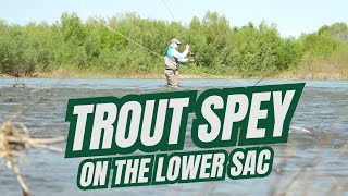 Fall Trout Spey on the Lower Sac || Confluence Outfitters