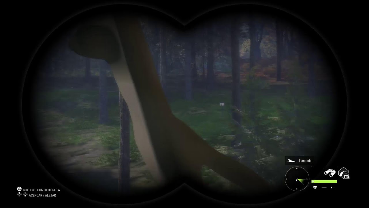 #5 Hirschfelden coto de caza (mision secundarias) The hunter Call of the wild