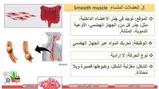 الصف الثاني عشر   المسار العلمي   الأحياء   تشريح العضلات 4   أنواع العضلات ووظائفها
