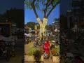 Good evening Vietnam - exploring Da Nang