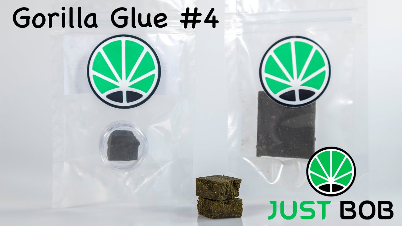 Gorilla Glue #4 CBD - CBD Shop -  JustBob [Deutsch]
