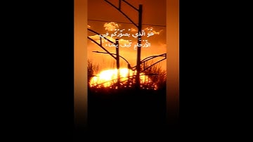 عبد الرحمن مسعد سورة آل عمران ❤️ #اجر_لي_ولك #اكسبلور #راحة_نفسية #دعاء_مستجاب #قرآن #صلوا_على_النبي