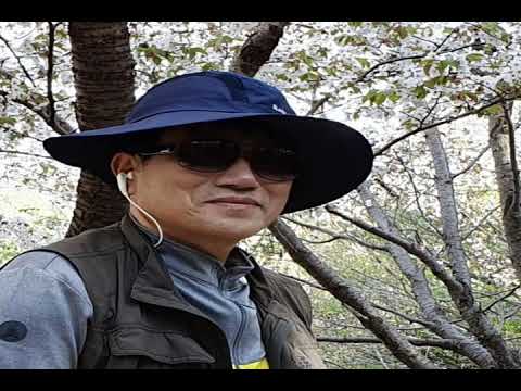 [TJ노래방라운지] 당신은어디있나요 - 양수경