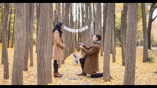 Seoul Proposal Photography in Autumn at Seoul Forest - Jeong Yi Photography screenshot 5