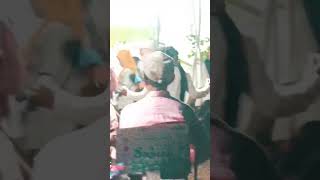 Download Lagu NDIGAN - NDIGAN || Fida Purnama Tarigan || Ronggeng MP3