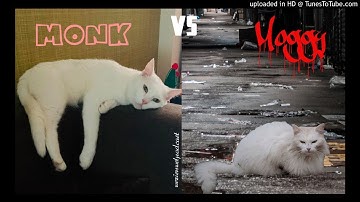 Ndimi - Moggy vs Monk