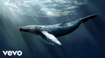 Lauri Immoderation - BV Test Partial Takedown via mult policies