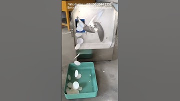 Fully automatic high efficiency radish slicer #vegetables #food #machine