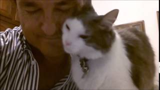 Ulisa No Me Deja Trabajar