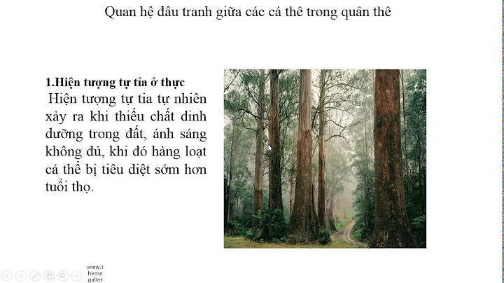 Quần thể sinh vật là gì Các sinh vật trong một quần thể thường có những mối quan hệ gì Lấy ví dụ