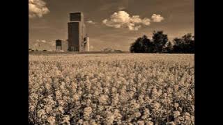 John Denver ~ 'Wild Flowers in a Mason Jar'
