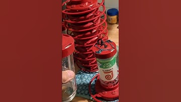 Hummingbird Feeder Hack #shorts #hummingbird #birds #love #video #hacker #nature