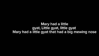 Mary had a little gyatt 🍑🗿