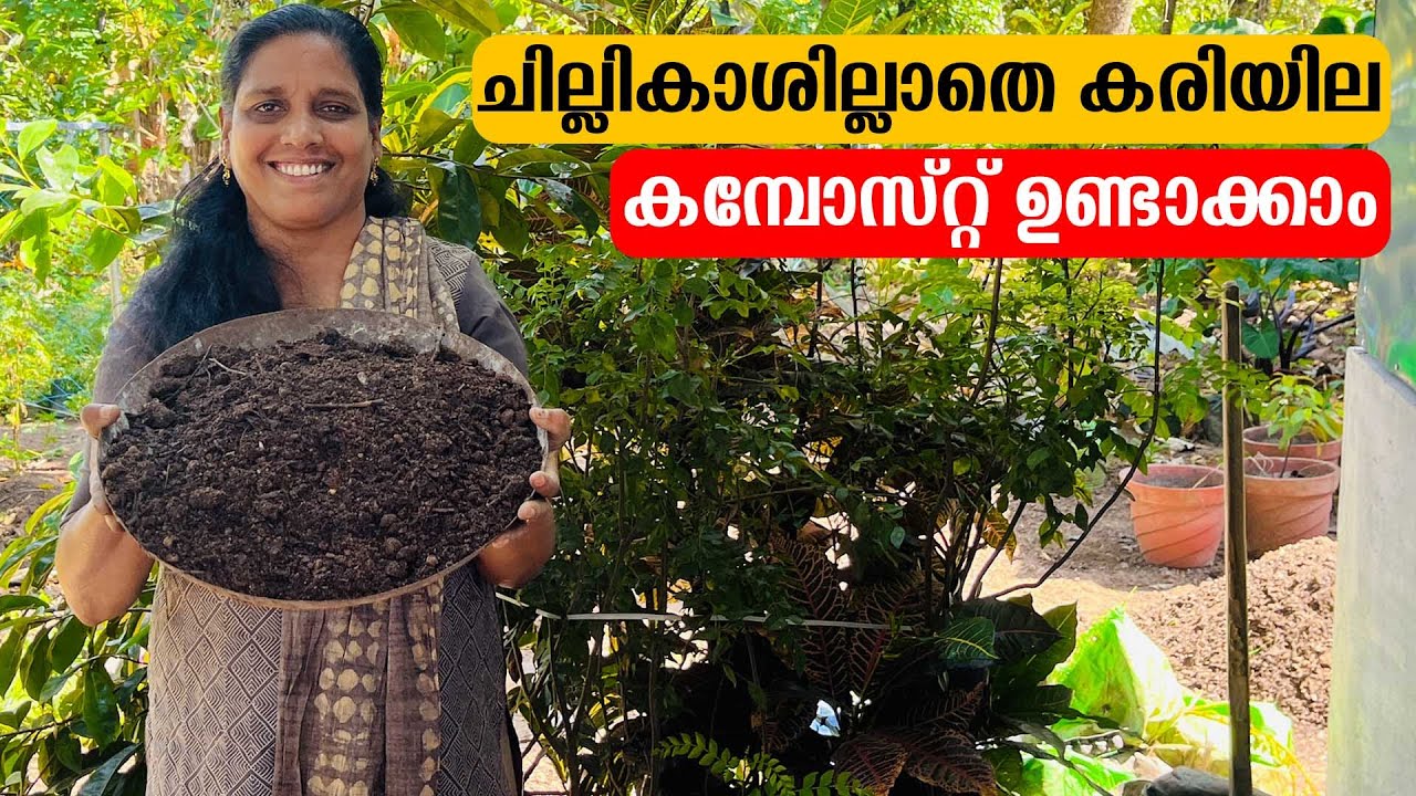 ചില്ലികാശില്ലാതെ കരിയില കമ്പോസ്റ്റ് ഉണ്ടാക്കാം | Mini's Lifestyle