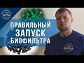 Как правильно запустить биофильтр