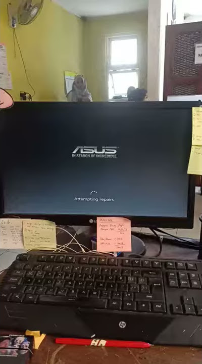 Story , Status , WA ,  Whatsapp , Video, Lucu, Kocak , Ngakak , Joget , Happy , Viral , Funny , unik