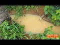 LUBENGELA A Glimpse Of Lake Tanganyika Biodiversity And Village Vibe 