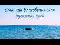 Станица Благовещенская | Бугазская коса | Съемки под водой море | Дельфины (24 августа 2020)